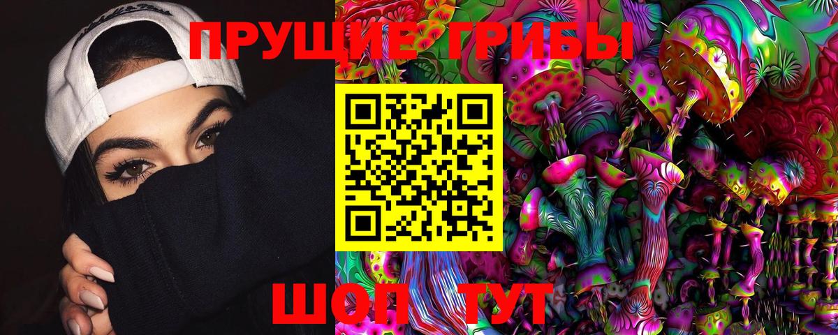 Псилоцибиновые грибы прущие грибы  Вход с VPN  что такое   Екатеринбург 